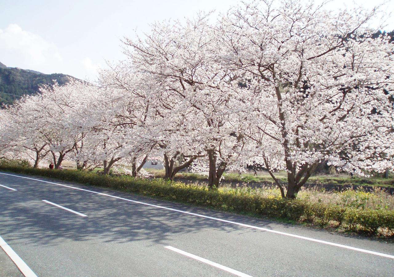 Nishiizu Matsuzaki Itoen Hotel Eksteriør bilde